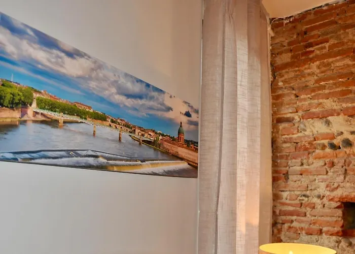 Apartamento Le Charme D'arnaud Hypercentre Wifi Accueil Gratuit H24 Toulouse
